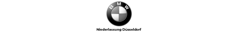 bmw-sw